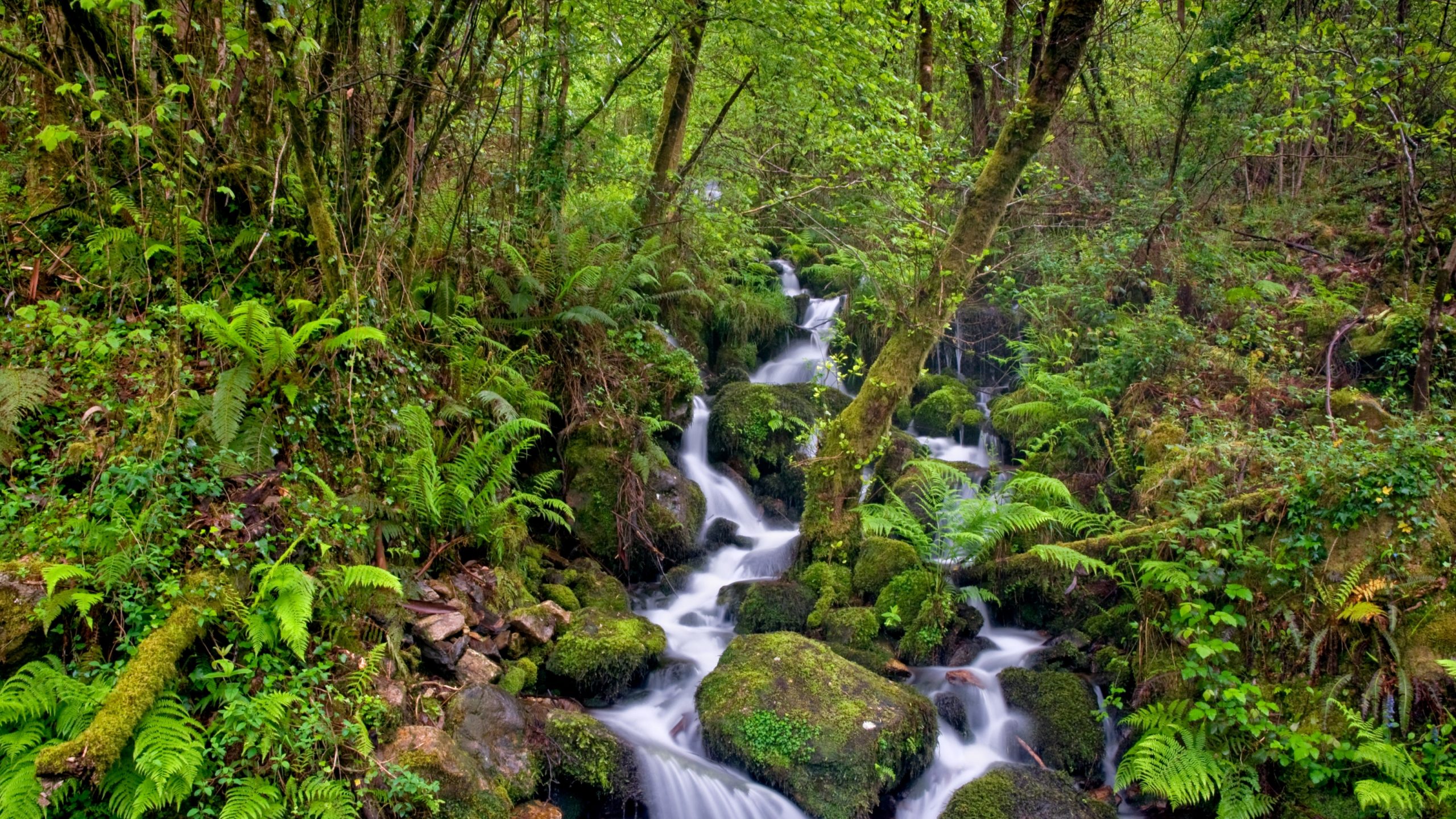 5 rutas en coche clásico por Galicia que tienes que hacer